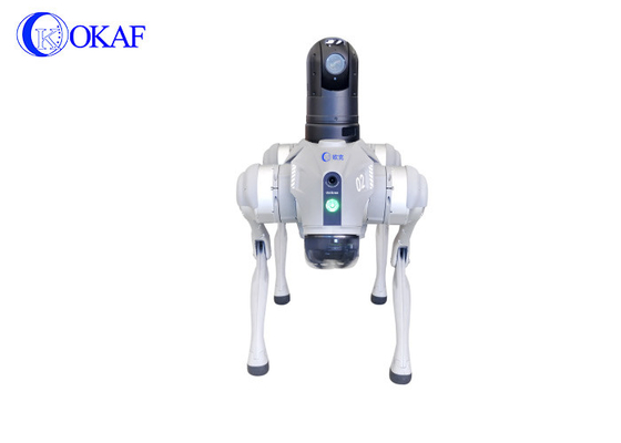 OKAF Bandara subway kereta api berkecepatan tinggi biomimentic empat kaki robot anjing AI pengenalan wajah patroli keamanan robot anjing